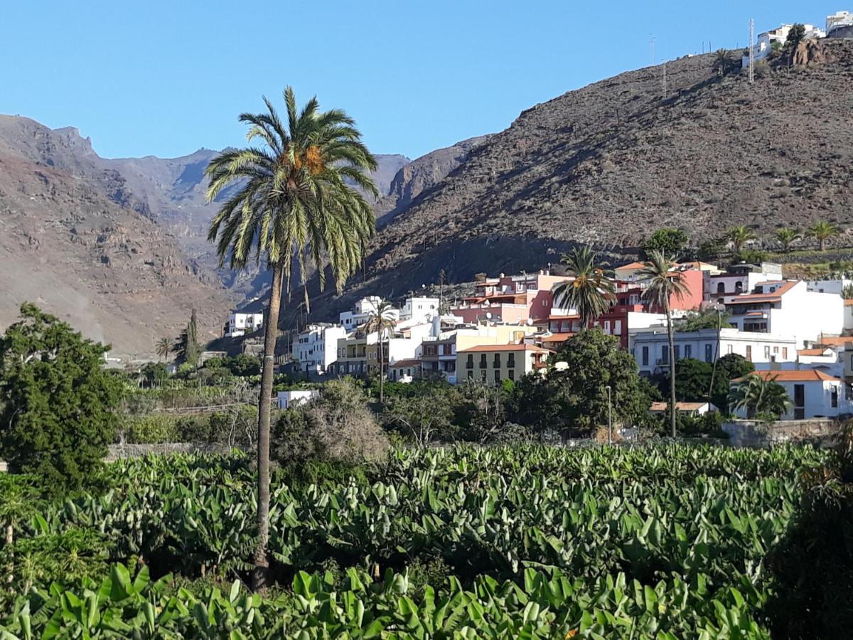 Los Olivos Playa de Santiago  Exterior photo
